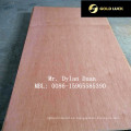 Bintangor Door Skin Plywood para hacer puerta